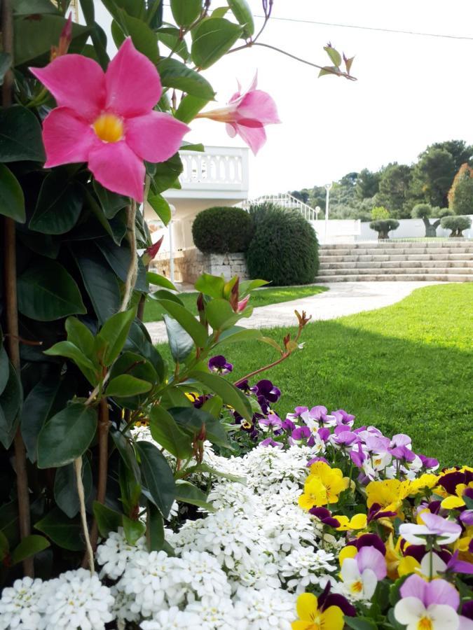 Villa Natia Mottola Eksteriør bilde